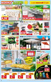 Barbecue Électrique Angebote im Prospekt "Votre Discounter Régional" von Norma Barbecue Électrique Angebote im Prospekt "Votre Discounter Régional" von Norma auf Seite 2