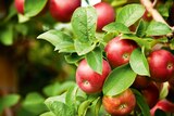 Promo Fruitiers gobelet INVIVO Nous on sème à 26,99 € dans le catalogue Gamm vert à Écuelles