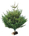 SAPIN NORDMANN COUPÉ 125/150 CM AVEC BÛCHE OFFERTE à Intermarché dans Ris-Orangis SAPIN NORDMANN COUPÉ 125/150 CM AVEC BÛCHE OFFERTE à Intermarché dans Ris-Orangis