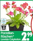 Porzellan-Röschen Angebote bei Wreesmann Aurich für 2,99 €