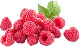 REWE Weeze - Himbeeren Angebot im Prospekt Himbeeren bei REWE im Weeze Prospekt für 3,49 €