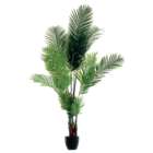Palmier en promo chez Maxi Bazar Aix-en-Provence à 79,99 €