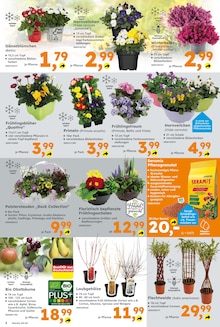 Obst im aktuellen Globus-Baumarkt Prospekt (Duisburg) Obst im Globus-Baumarkt Prospekt "Immer eine Idee besser" mit 16 Seiten (Duisburg)