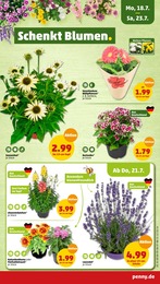 Lidl Blumen Angebot ᐅ Finde den Preis im aktuellen Prospekt
