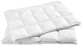Ganzjahresbett im XXXLutz Prospekt Ganzjahresbett von billerbeck im aktuellen XXXLutz Prospekt für 139,90 €