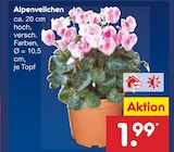 Alpenveilchen im Angebot bei Netto Marken-Discount in Dresden Alpenveilchen Angebote bei Netto Marken-Discount Dresden für 1,99 €