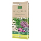 Kölle Bio Pflanzerde, torffrei, 20 Liter im Pflanzen Kölle Prospekt Kölle Bio Pflanzerde, torffrei, 20 Liter von im aktuellen Pflanzen Kölle Prospekt für 7,99 €