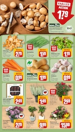 Deko-Blumen Angebot & Preis im aktuellen REWE Prospekt Deko-Blumen Angebot im aktuellen REWE Prospekt auf Seite 7