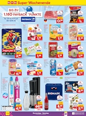 Felix Katzenfutter im Netto Marken-Discount Prospekt in Freiberg Aktueller Netto Marken-Discount Prospekt mit Felix Katzenfutter, "Aktuelle Angebote", Seite 4