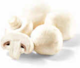 Aktuelle Champignons Angebote bei Netto Marken-Discount in Essen Aktuelles Champignons weiß Angebot bei Netto Marken-Discount in Essen ab 1,79 €