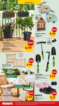 Blumentopf im Penny Prospekt "Wer günstig will, muss Penny." mit 45 Seiten (Erfurt)