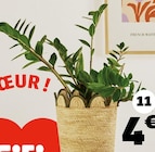 Panière à 4,99 € dans le catalogue Gifi