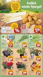 REWE Lavendel im Prospekt REWE Lavendel im Prospekt