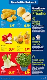 Gemüse im Lidl Prospekt in Bergheim Aktueller Lidl Prospekt mit Gemüse, "LIDL LOHNT SICH", Seite 7