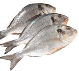 Dorade Royal im Angebot bei EDEKA in Ahaus Dorade Royal Angebote bei EDEKA Ahaus für 1,69 €