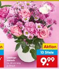 Lieblingsmensch für 9,99 € bei Netto Marken-Discount im Angebot Lieblingsmensch im aktuellen Netto Marken-Discount Prospekt