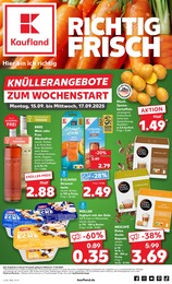 Aktueller Kaufland Prospekt (Zwönitz) Kaufland Prospekt mit 59 Seiten (Zwönitz)