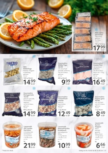 Lachs im aktuellen Selgros Prospekt (Augsburg) Lachs im Selgros Prospekt "HIER KAUFEN PROFIS & GENIESSER" mit 28 Seiten (Augsburg)