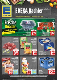 Aktueller EDEKA Prospekt "Wir lieben Lebensmittel!" für Helmbrechts Aktueller EDEKA Prospekt für Helmbrechts mit Seiten