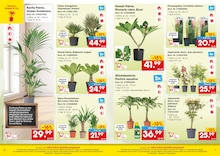 Kleiderschrank im Netto Marken-Discount Prospekt "netto-online.de - Exklusive Angebote" mit 7 Seiten (Erfurt)