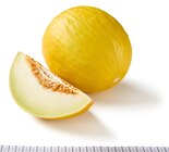 Lidl - Honigmelone Angebot im Prospekt Honigmelone bei Lidl im Prospekt "" für 1,19 €