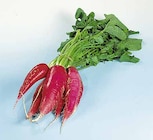 Hieber - Rettich rot Angebot im Prospekt Rettich rot bei Hieber im Prospekt "" für 1,99 €
