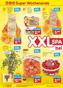 Äpfel im Netto Marken-Discount Prospekt "Aktuelle Angebote" mit 51 Seiten (Mönchengladbach)