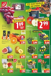 Bananen Angebot im aktuellen E center Prospekt auf Seite 3