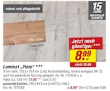Laminat Pinie Angebote bei toom Baumarkt Halle für 8,99 €