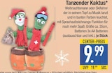 Tanzender Kaktus Weihnachtsmann Angebote bei EDEKA Schrobenhausen für 9,99 €