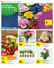 Plantes Angebote im Prospekt "Carrefour" von Carrefour auf Seite 56