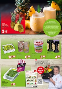 Obst im aktuellen Selgros Prospekt (Duisburg) Obst im Selgros Prospekt "cash & carry" mit 20 Seiten (Duisburg)