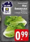 Mini-Romanasalat im Angebot bei EDEKA in Aachen Mini-Romanasalat Angebote von EDEKA Regional bei EDEKA Aachen für 0,99 €