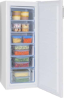 expert Gröblinghoff Dinslaken - GS 324 100 W Gefrierschrank Angebot im Prospekt GS 324 100 W Gefrierschrank bei expert Gröblinghoff im Dinslaken Prospekt für 299,00 €