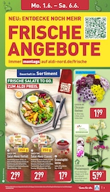 Fast Food im ALDI Nord Prospekt in Laatzen Aktueller ALDI Nord Prospekt mit Fast Food, "Aktuelle Angebote", Seite 3