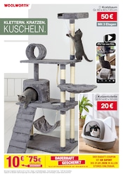 Aktueller Woolworth Prospekt mit Kratzbaum, "Aktuelle Angebote", Seite 11
