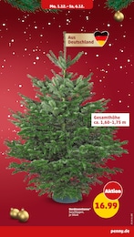 Penny Pflanzen im Prospekt 