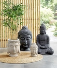 Aktuelles Blumentopf „Buddha“ Angebot bei Thomas Philipps in Ulm ab 39,99 €