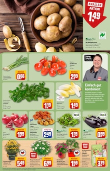 Äpfel im REWE Prospekt "Dein Markt" mit 32 Seiten (Herne)