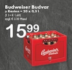 TOP Getränke Gütersloh - Budweiser Budvar Angebot im Prospekt Budweiser Budvar bei TOP Getränke im Gütersloh Prospekt für 15,99 €