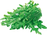 Aktuelle Salat Angebote bei REWE in Frankfurt (Main) Aktuelles Bio Rucola Angebot bei REWE in Frankfurt (Main) ab 0,88 €