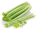 REWE - Bio Staudensellerie Angebot im Prospekt Bio Staudensellerie bei REWE im Prospekt "" für 1,89 €