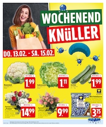 Blumen im EDEKA Prospekt Ab jetzt ist PAYBACK bei EDEKA zuhause. auf S. 28