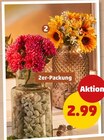 Dekorativer Blumenstrauß für 2,99 € bei Penny im Angebot Dekorativer Blumenstrauß im aktuellen Penny Prospekt