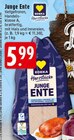 Junge Ente bei EDEKA im Prospekt "" für 5,99 €