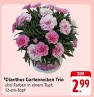 E center Teningen Prospekt mit  im Angebot für 2,99 €