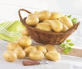 U Express Cotignac - Promo Pomme de terre de consommation à chair ferme Promo Pomme de terre de consommation à chair ferme à 0,80 € dans le catalogue U Express à Cotignac