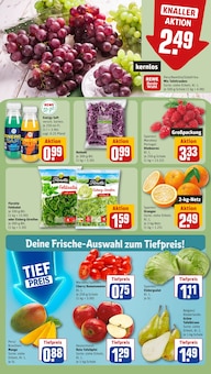 Salat im REWE Prospekt "Dein Markt" mit 32 Seiten (Nürnberg)