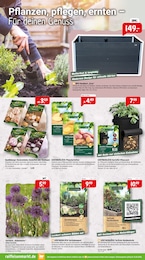 Zwiebeln Angebot im aktuellen Raiffeisenmarkt Prospekt auf Seite 3