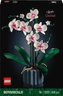 L'orchidée à Fnac dans Doubs